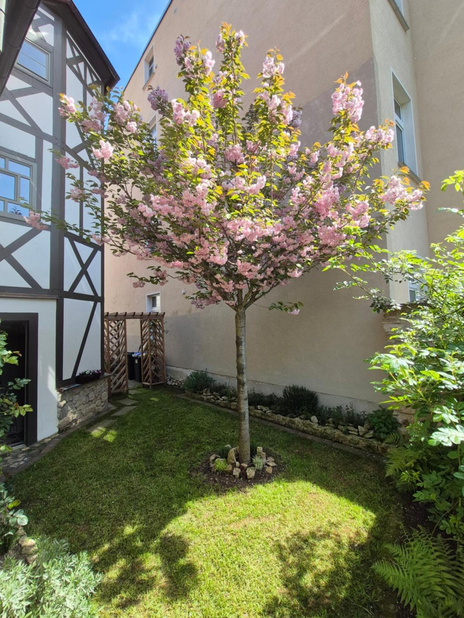 Aussergewoehnliches, Historisches, Spaetgotisches Wohnhaus Von 1519, Gries 5 Гера Екстериор снимка